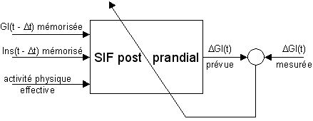 Apprentissage Postprandial