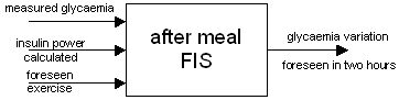 FIS after meal