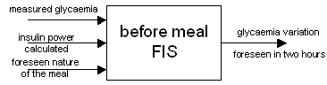 FIS before meal